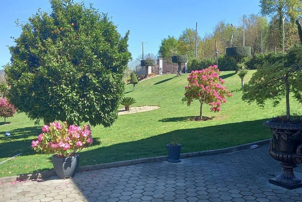 Sonho Holiday home Ribeira de Pena